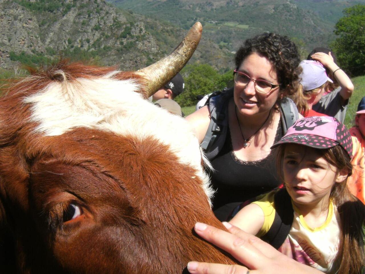 La Ferme Des Cevennes Hotell Florac Exteriör bild